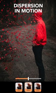 Enlight Pixaloop Mod Apk (Motionleap) 4