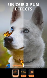 Enlight Pixaloop Mod Apk (Motionleap) 6