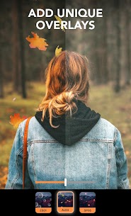 Enlight Pixaloop Mod Apk (Motionleap) 7