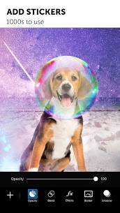 PicsArt Mod Apk – Golden Cracked 8